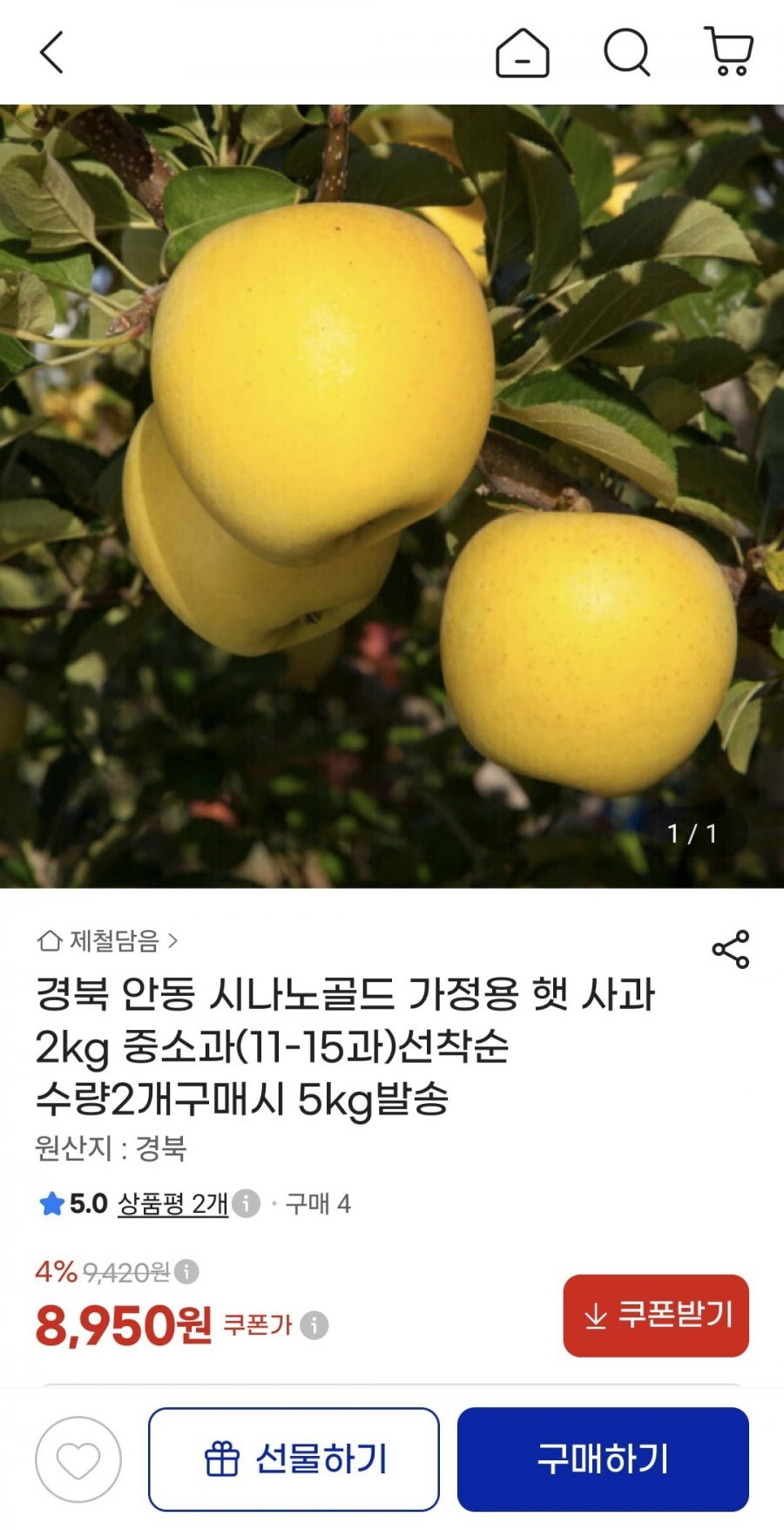 경북 안동 시나노골드 가정용 햇 사과 2kg 중소과
