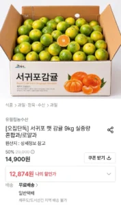 제주 서귀포 햇 감귤 9kg 실중량 혼합과