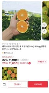 제주 서귀포 극조생감귤 로얄과 4.5kg