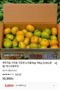 제주직송 극조생 노지귤 3kg(S,M,L혼합)
