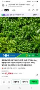 유러피안 샐러드 1kg