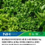 유러피안 샐러드 1kg