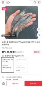 국내산 활 흰다리 새우 1kg