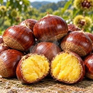 과일파는청년 알밤 햇밤, 대, 2kg, 1박스