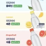 라인바싸 500ml PET 2박스 5종선택