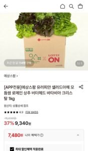 유러피안 샐러드야채 모듬쌈 1kg