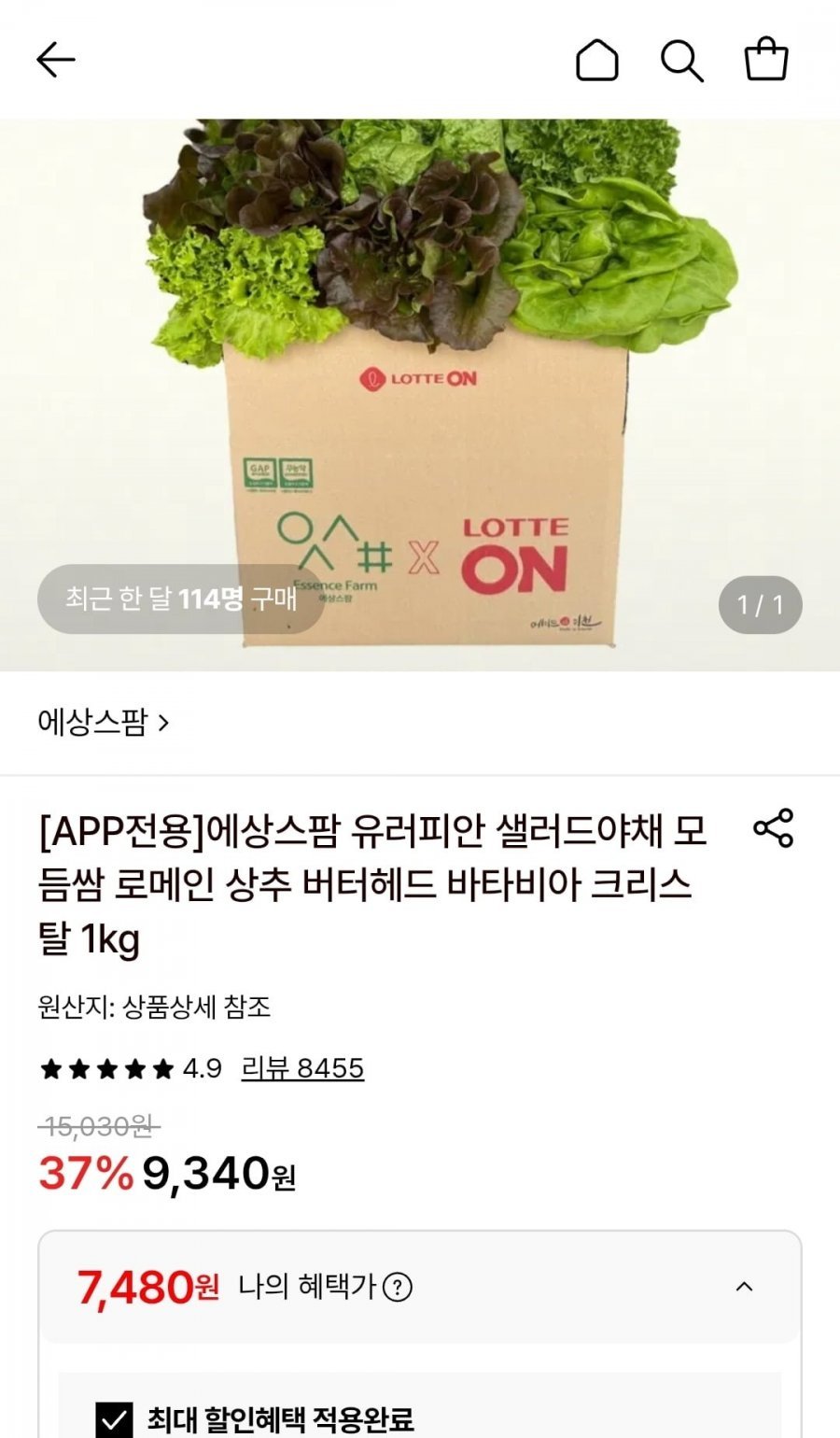 유러피안 샐러드야채 모듬쌈 1kg