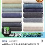 송월타월 라이트 무지 6개 외 다양