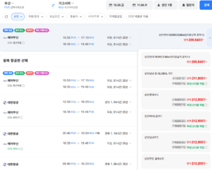 부산-가고시마 1030-1104 롯데카드