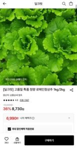 로메인 청상추 1kg