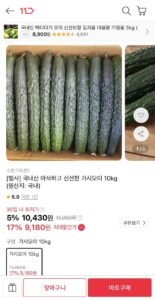 국내산 가시오이 10kg