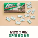 올리브영 앤디스 쵸콜릿 민트 파르페 크런치 132gx3종