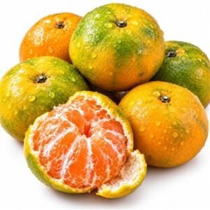 제주 극조생 노지감귤, 특품, 로얄과, 10kg, 1박스