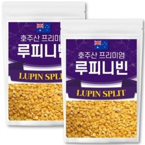 큰나무 호주산 루피니빈 콩, 1kg, 2개