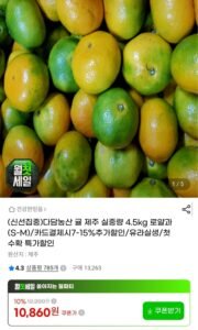 제주귤 실중량 4.5kg 로얄과