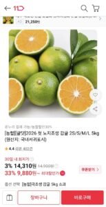 노지감귤 5kg 중과