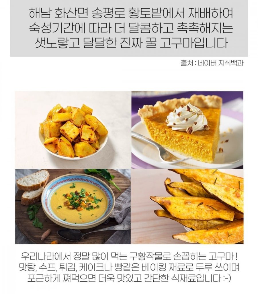 해남 호풍미 호박고구마 특상 3kg