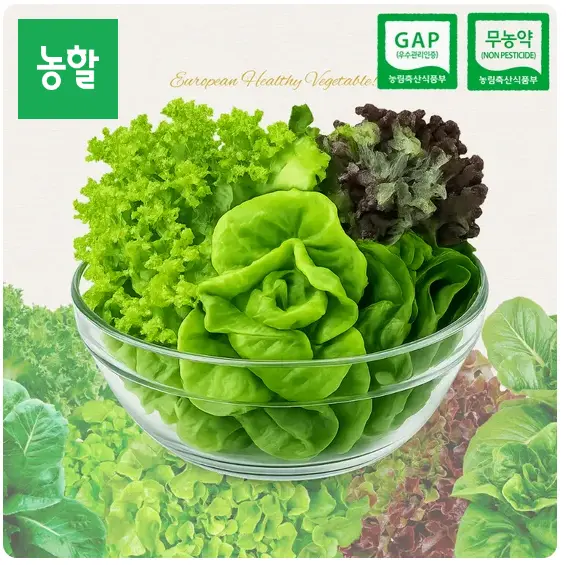 당일수확 무농약 샐러드용 쌈채소 3~5종 믹스 1kg_스마트팜 재배