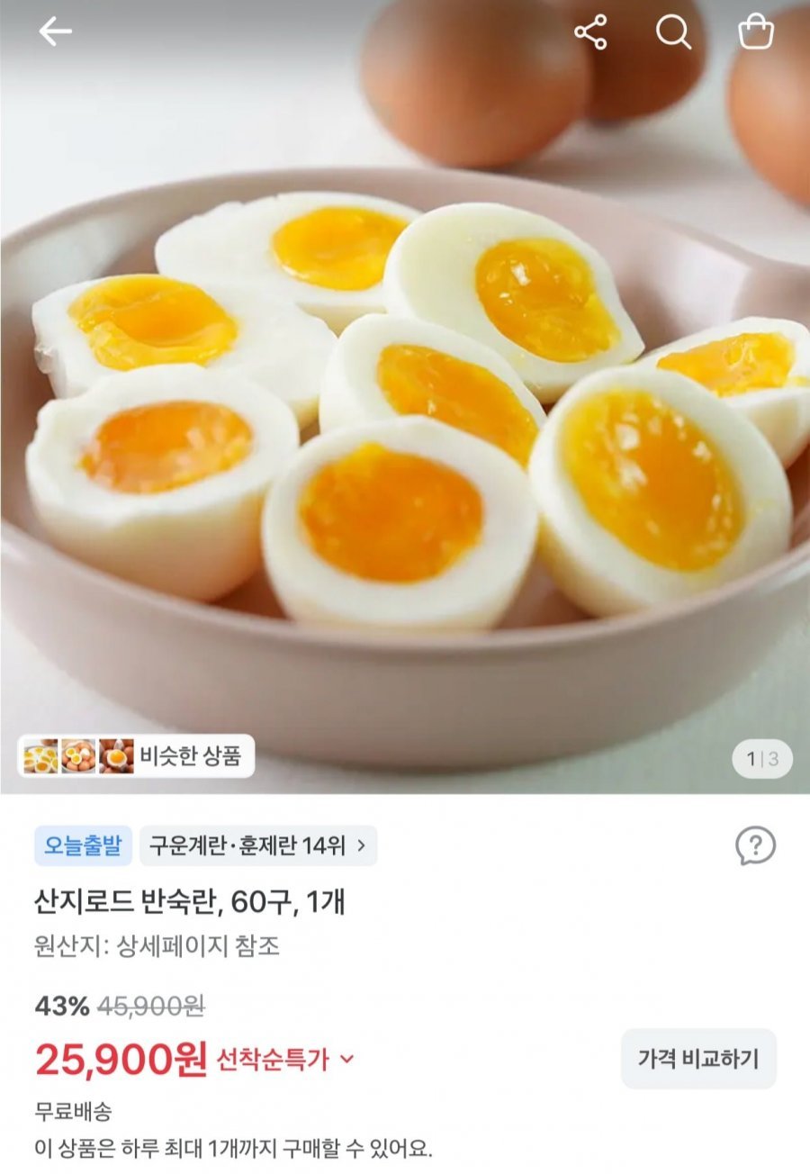 반숙란 60구