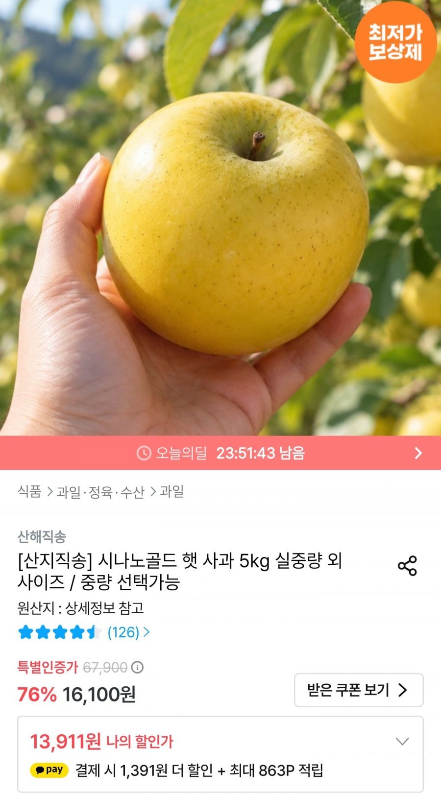 시나노골드 햇사과 5kg 소과