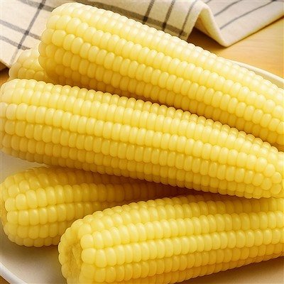 산해직송 쪄서가는 백찰옥수수, 특대, 20개