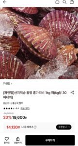 산지직송 통영 홍가리비 4kg