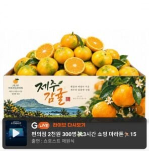 제주 햇 극조생 감귤 5kg