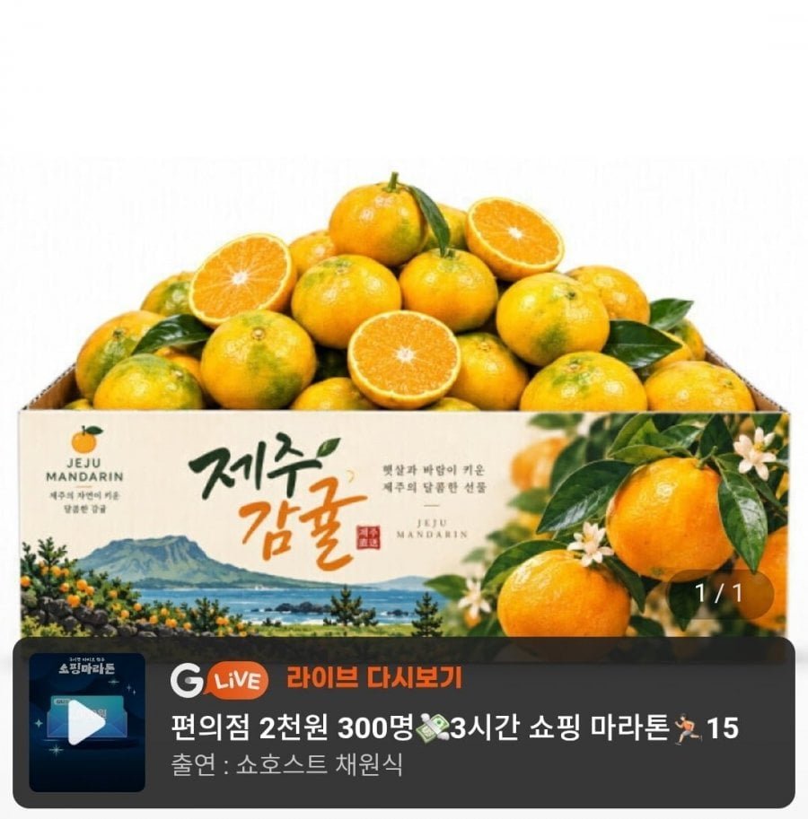 제주 햇 극조생 감귤 5kg