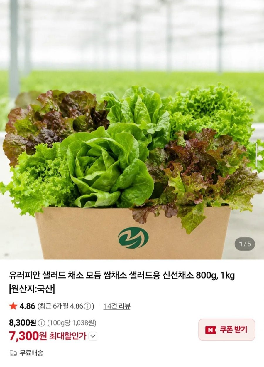 유러피안 샐러드 채소 모듬 쌈채소 1kg