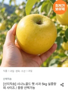 시나노골드 햇 사과 5kg 소과 23-28과 내외