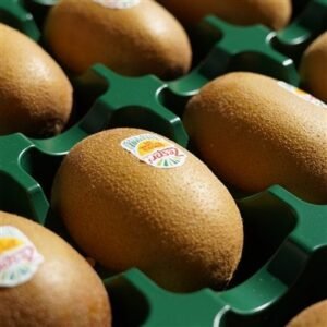 제스프리 썬골드키위, 점보, 20과, 3.1kg, 1박스
