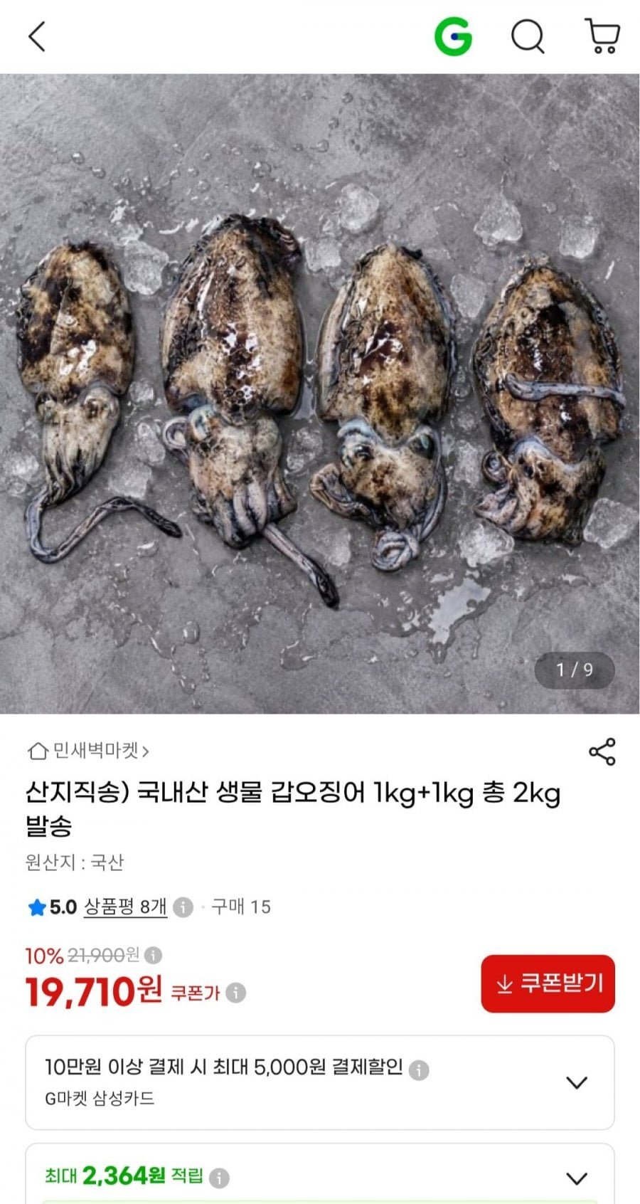 국내산 생물 갑오징어 2kg