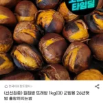 칼집 군밤용 뜨래밤 1kg(대) 26년햇밤