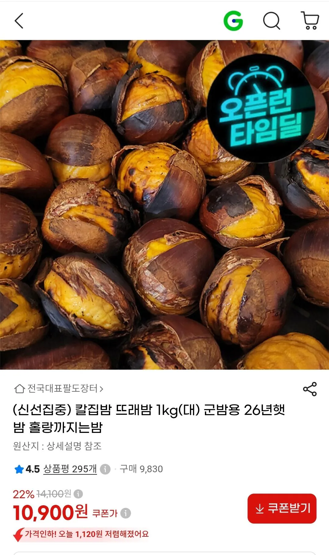 칼집 군밤용 뜨래밤 1kg(대) 26년햇밤