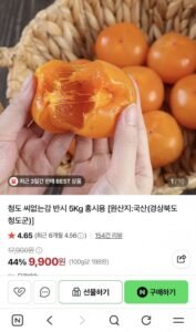청도 씨없는감 반시 5Kg 홍시용