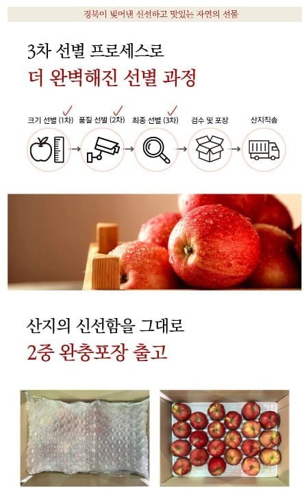 홍로사과 중대과 2.5kg 9과 개별망포장