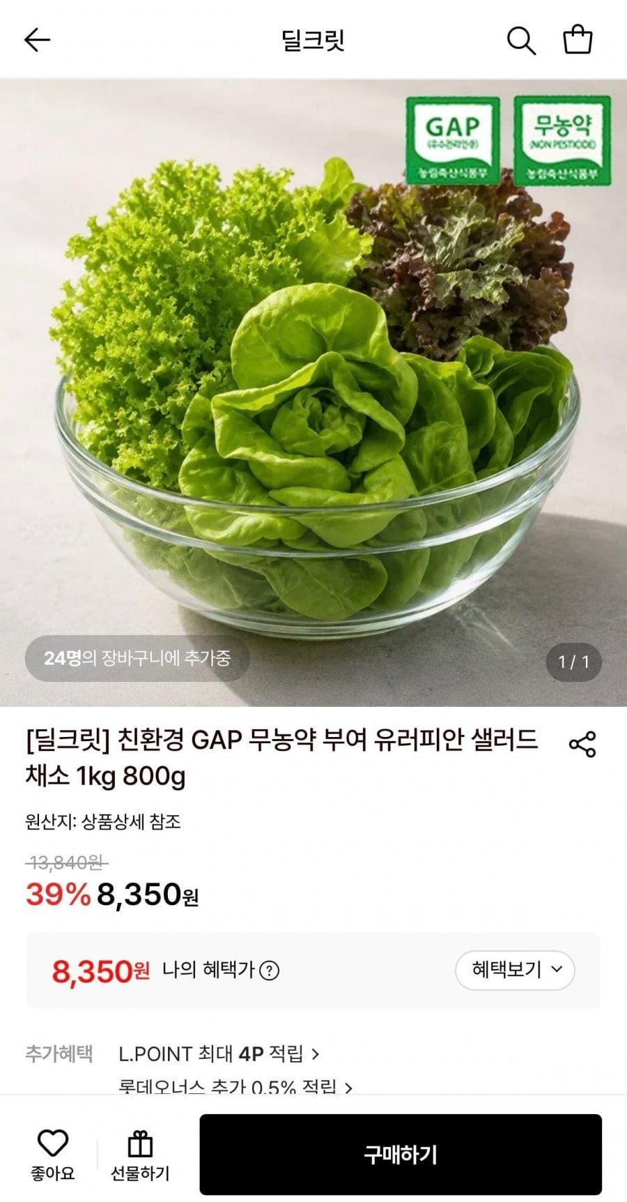 친환경 GAP 무농약 부여 유러피안 샐러드 채소 1kg