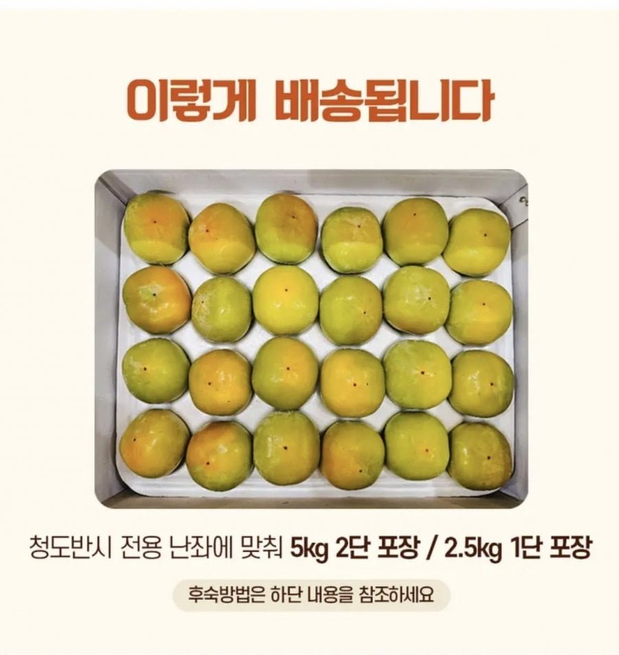 국내산 청도반시 2.5kg