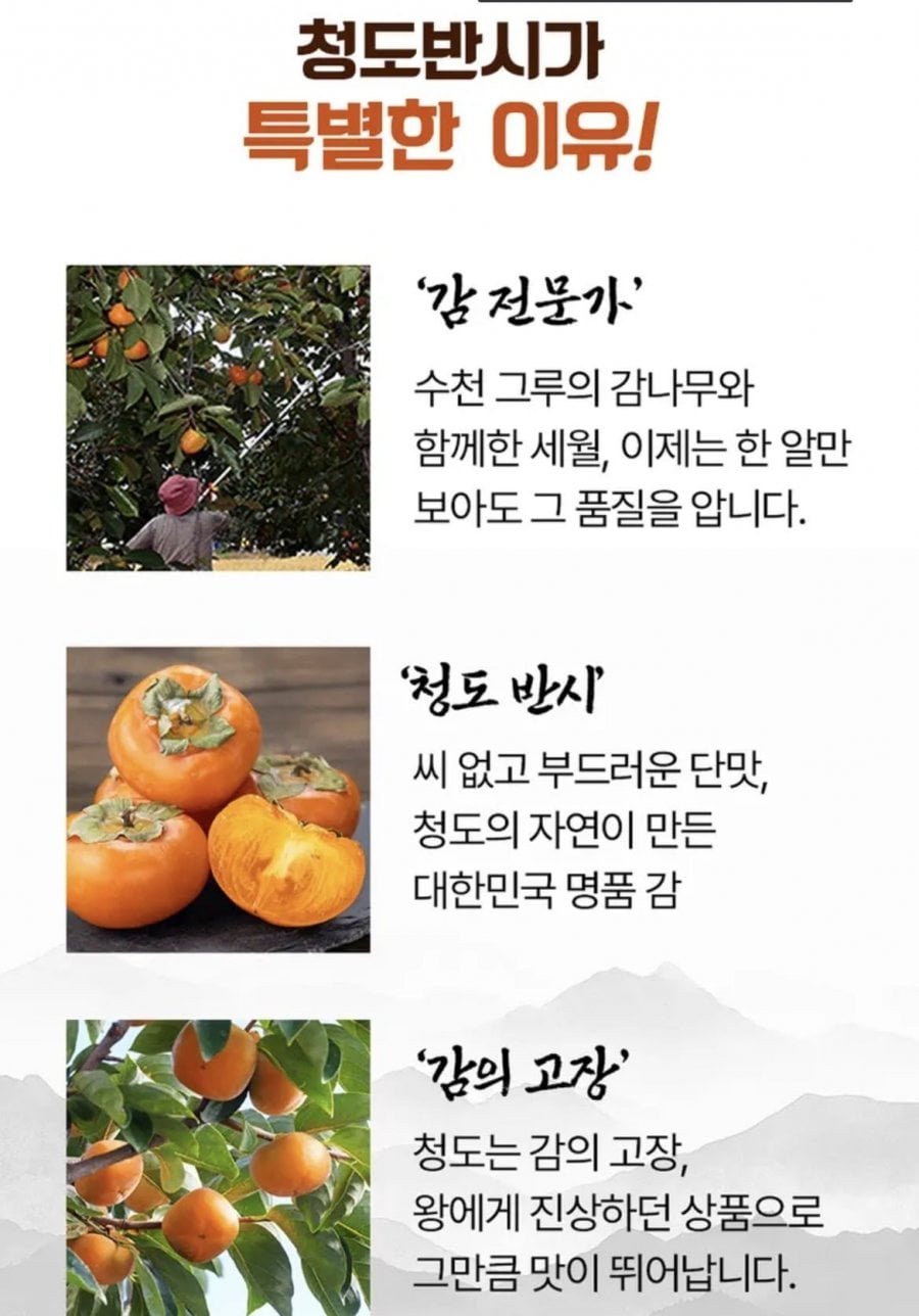 국내산 청도반시 2.5kg