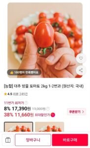 (농할) 대추 방울토마토 2kg (1~2번과)