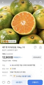 제주 극조생감귤 10kg