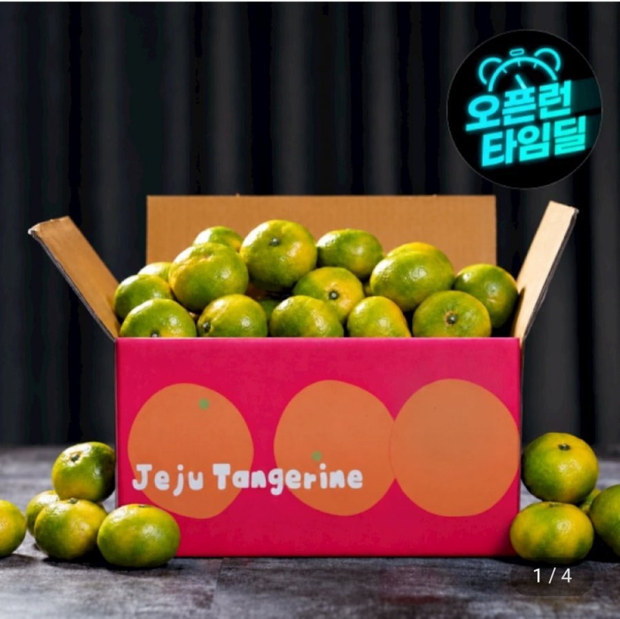 제주앤 극조생 감귤 4.5kg 소과