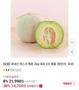 국내산 머스크 메론 2kg 대과 2수 특품