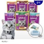 위스카스팩 파우치 24개+캣닢쿠션+베베숲물티슈1팩