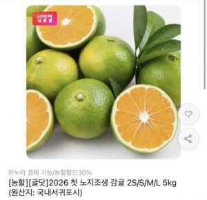 극조생 감귤 5kg 중과