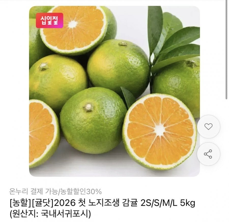 극조생 감귤 5kg 중과