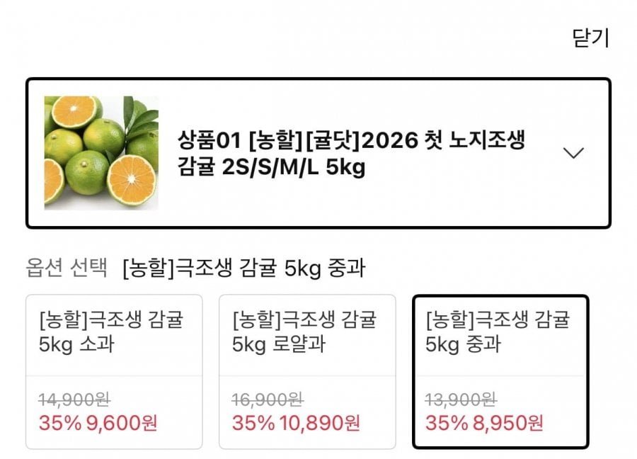 극조생 감귤 5kg 중과
