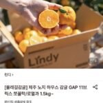 올레길 하우스감귤 2kg 중대과 L-2L