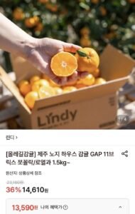 올레길 하우스감귤 2kg 중대과 L-2L