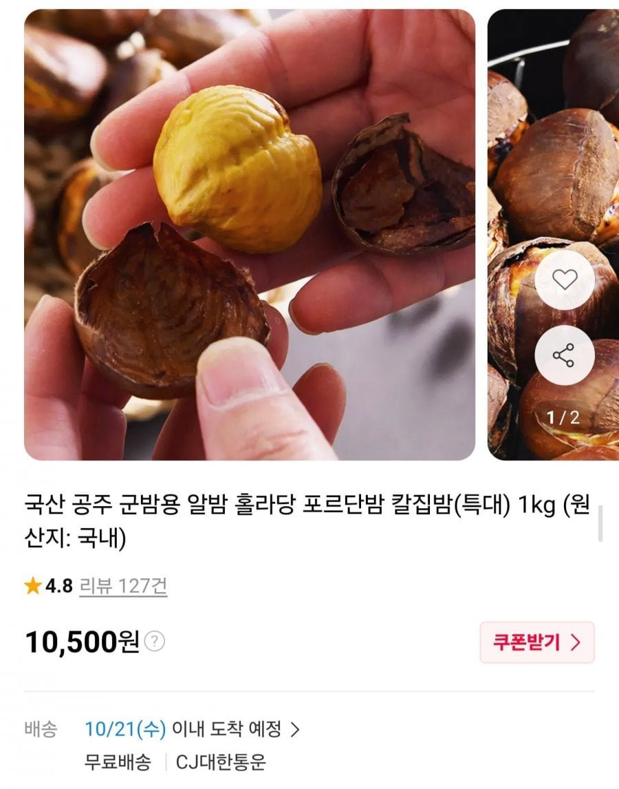 국산 공주 알밤 특대 1kg